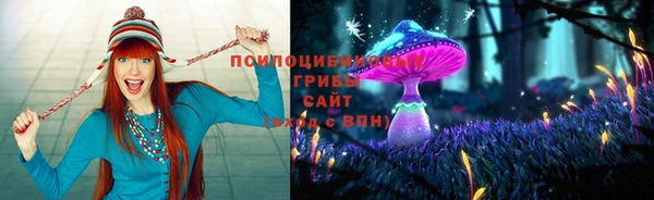 сатива Балахна