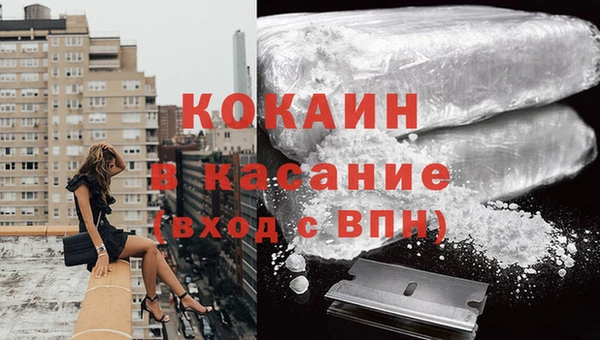 прущие грибы Балабаново