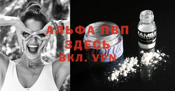 прущие грибы Балабаново