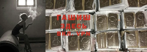 прущие грибы Балабаново