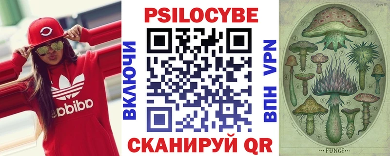 где найти наркотики  Курильск  сайты даркнета клад  Псилоцибиновые грибы Psilocybe 
